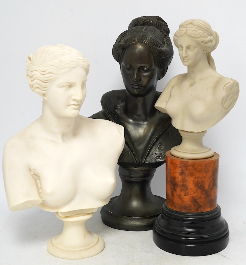 Two resin busts of Venus de Milo on plinth, together with a 20th century bronze bust, tallest 36cm high. Condition - fair